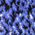 Joy Carpets Inferno